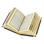 Коран на арабском языке в подарочном футляре (12х8 см) 17078