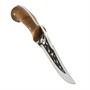 Кизлярский нож сувенирный "Скорпион" (сталь - AUS-8, рукоять - орех) 10131 - фото 18252