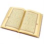 Коран на арабском языке с золотым обрезом в подарочном футляре (17х24 см) 18490 - фото 9878